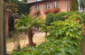 Ferienhaus in der historischen Altstadt von Angermünde - Foto 4