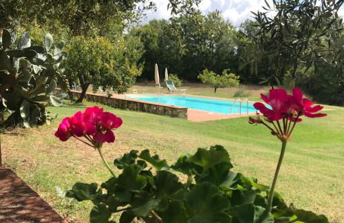 Country House Montecchio - Foto 10