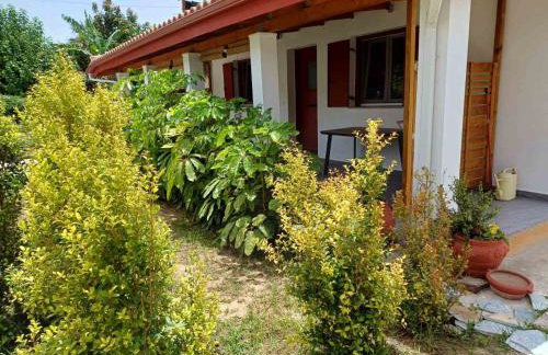 Aggelikis house - Foto 17