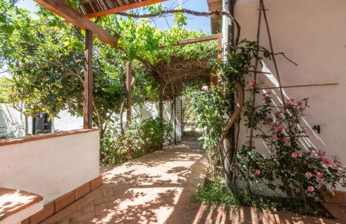 Abba Arrubia - Foto 7