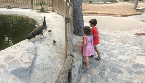 Apartamento Playa Guardamar del Segura - Foto 2