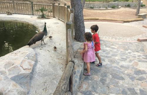 Apartamento Playa Guardamar del Segura - Foto 2