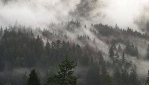 Ard Darach Lodge - Photo 4