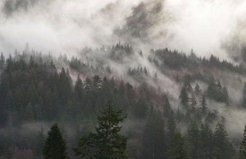 Ard Darach Lodge - Foto 4