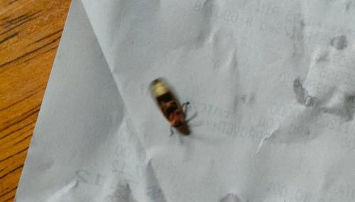 42th Powelton - Foto 4