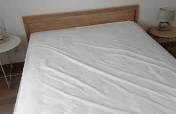 ANCELLE TAILLAS RDC CHALET - Foto 30