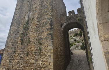 Sunflower Castle View in Óbidos - Foto 40