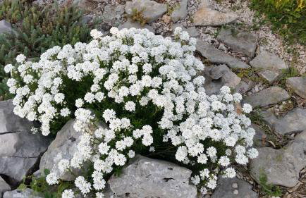 Apartment Nika - Foto 20