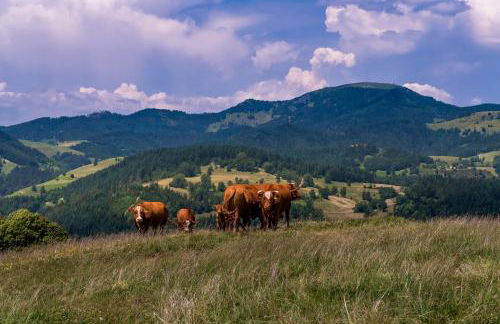 Ferienwohnung Heimatliebe - Foto 16
