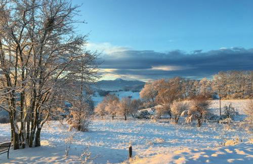 Agriturismo Il Filare - Photo 21