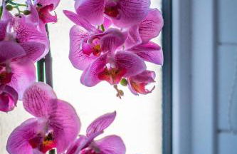 Mallard Cottage - Foto 18