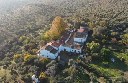 Cortijo San Julián - Foto 50