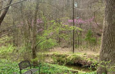 Sunnybrook Cabin, wooded, private with stream, near ATV trails - Foto 30