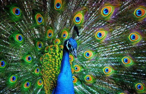 #ML - Aloha Hoʻonani 3BR Home - MT & Ocean Views! - Foto 67