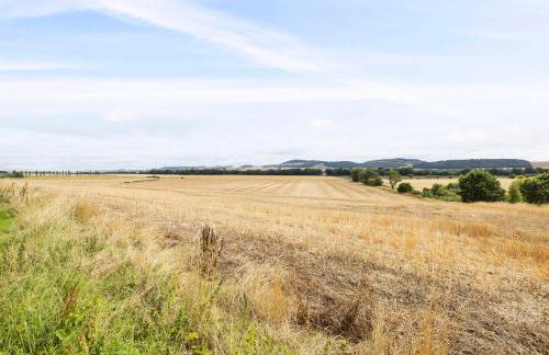 The Nest - Cosy Holiday Cottage - Photo 43