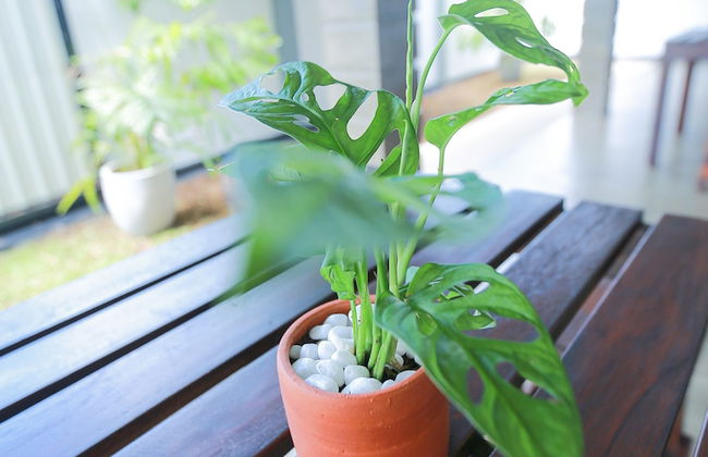 Sea View Villa - Photo 25