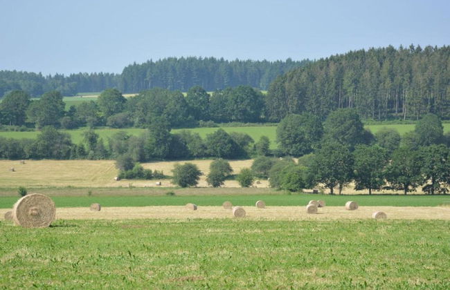 Cozy Villa w/ Sauna and BBQ - Photo 29