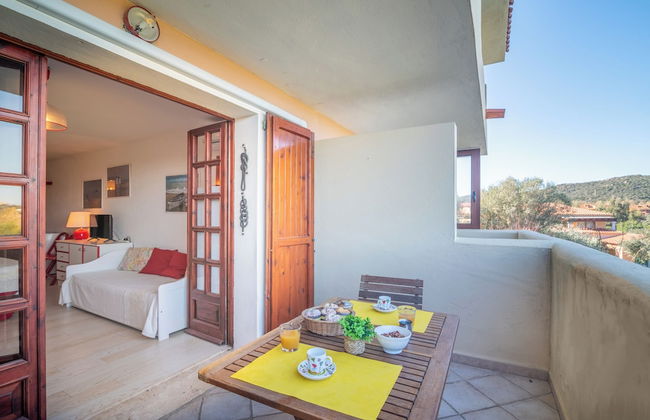 Mono Gambero Eucalyptus 241 - Foto 12