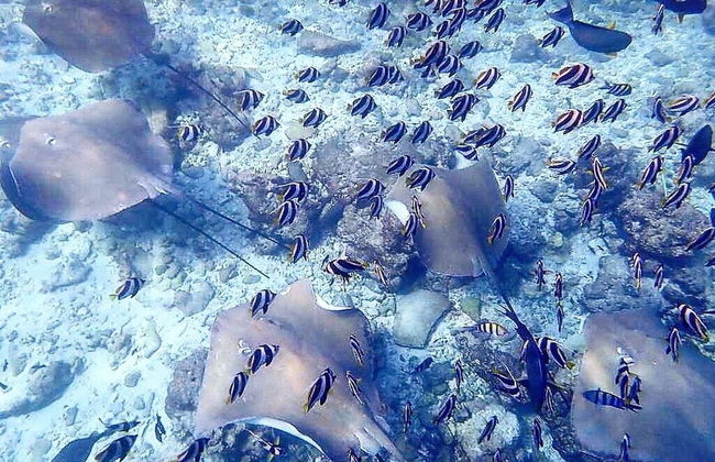 La Due Thulusdhoo - Foto 22