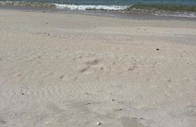 Precioso ático de playa - Foto 18