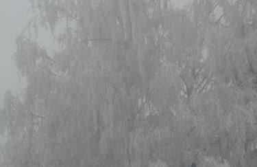 Agriturismo Cascina Serra - Foto 52