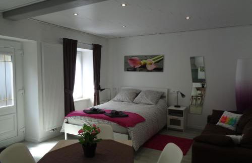 Studio Gite Fischer Ottrott - Photo 1