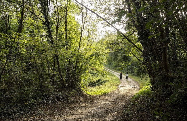 La Fonte di Montebuono - Foto 48