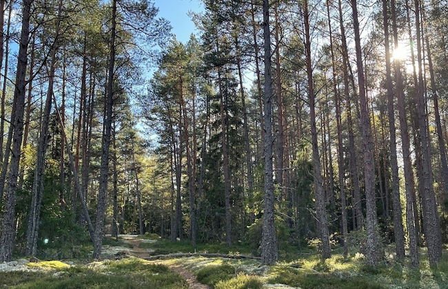 Charming Property With Private Pool - Foto 32