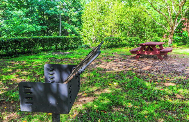 Alpine Crest Resort - Photo 21