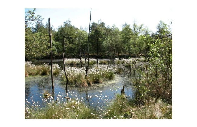 Sophienhof Lieselotte - Foto 19