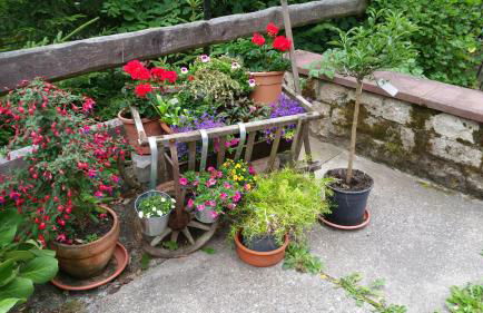 Ferienwohnung Wolf - Photo 14