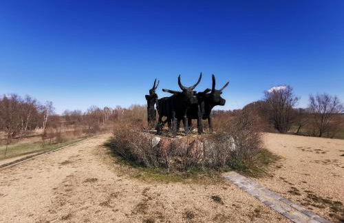 Ferienidyll zur Spreeaue - Foto 73