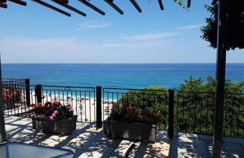 Ammos papanero - Foto 29