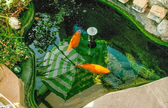 Charming Holiday Home in Houyet Near Forest - Foto 38