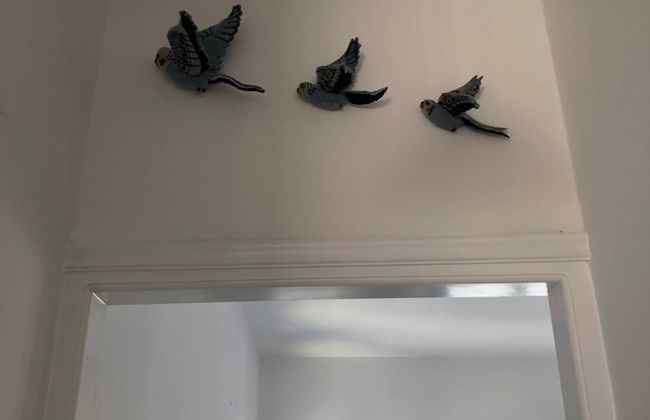 Aphrodite and Apollo Apartments - Foto 24