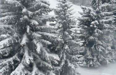 Casa d'Alpe -Boutique apartment Chaberton view - Foto 14