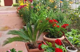 SEA VIEW TONIAS APARTMENTS Aphrodite - Foto 21