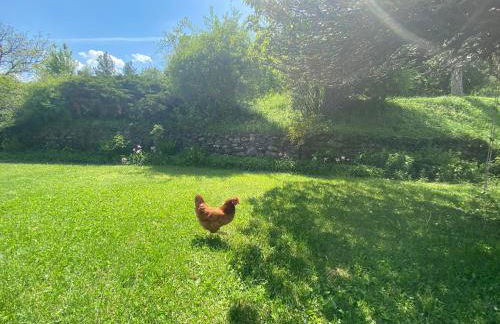 La Genevraie - Foto 14