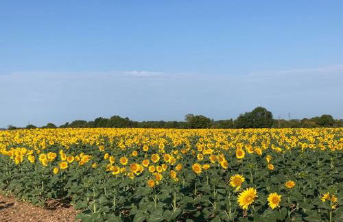 Rustic cottage with stunning swimming pool - Foto 32