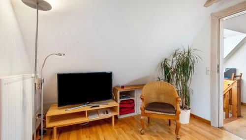 Öko Fewo Lachmöwe - Foto 2