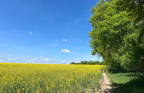 Besondere Ferienwohnung am Rande der Hauptstadt - Photo 16