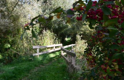 Elegantes & modernes Apartment NeLi mit Terrasse, 100m zum Hafen Röbel Müritz - Foto 32