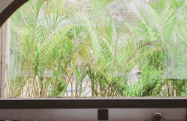 Kalyana Villa Gili Air - Foto 56