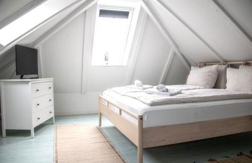 Dünengras - Foto 15