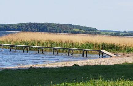 Boddenhus auf Rügen - Ferienwohnungen und Pension - Foto 37