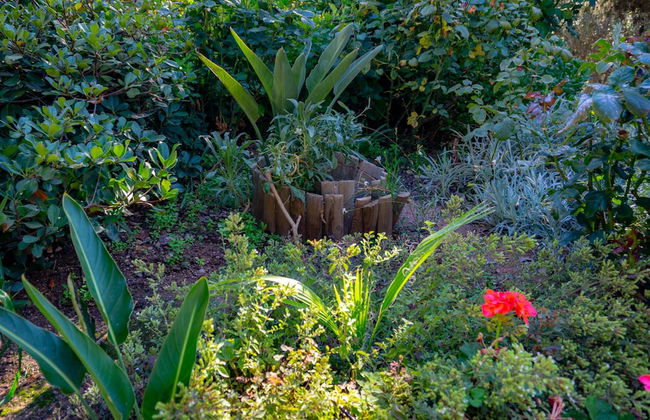 Cottage Home at South Chania near Paliochora - Photo 26