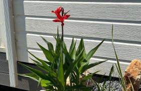 Le Mas Del Cargol - Foto 78