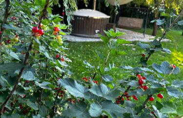 Kuća za odmor Zora - Foto 44