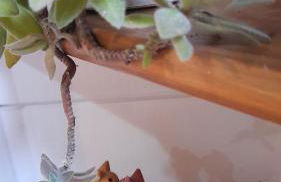 Coração do Rosa -A poucos passos do melhor do Rosa - Foto 32