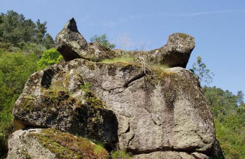 Recanto da Neta - Foto 35